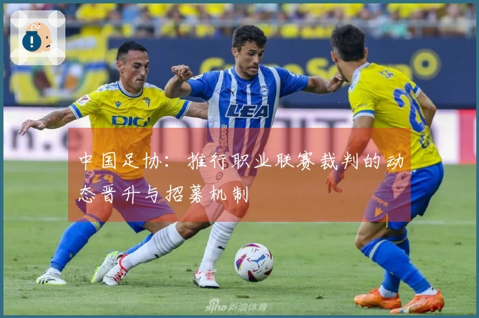中国足协：推行职业联赛裁判的动态晋升与招募机制