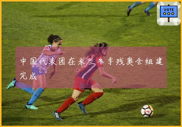 中国代表团在米兰冬季残奥会组建完成